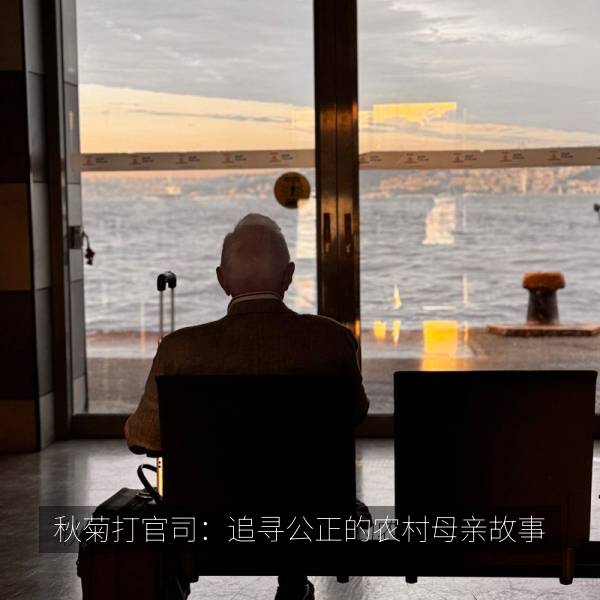 秋菊打官司:追寻公正的农村母亲故事 海报