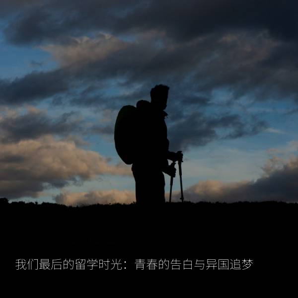 我们最后的留学时光:青春的告白与异国追梦 海报