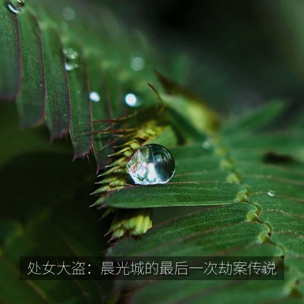 处女大盗：晨光城的最后一次劫案传说 剧照