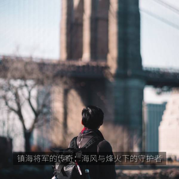 镇海将军的传奇：海风与烽火下的守护者 剧照