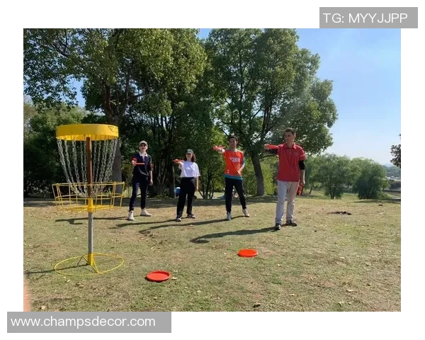 飞盘竞技新风潮：深入探讨北京飞盘队的速度与技巧